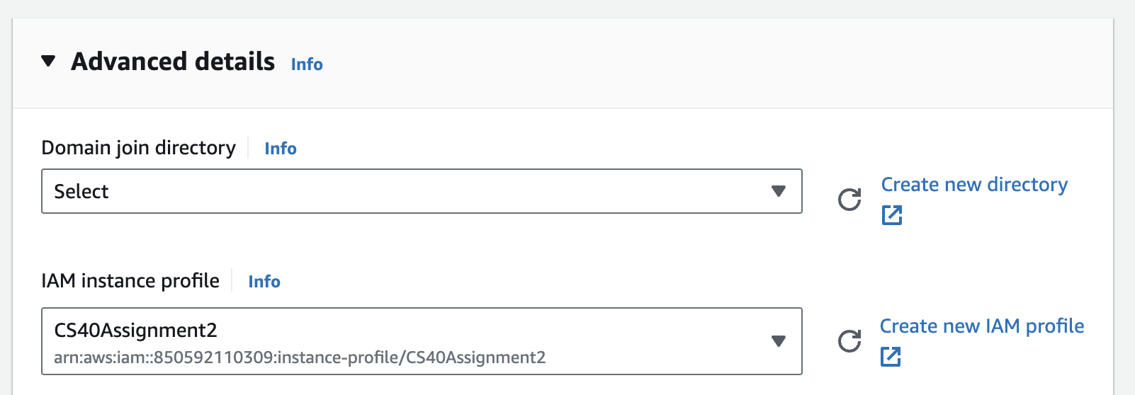Selected IAM role for EC2 instance
